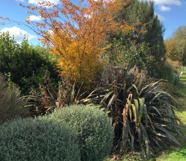Otorohanga Bed & Breakfast | 40 Winks
