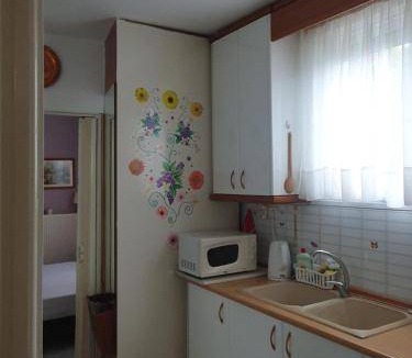 Thermi Apartment | 45 m² Apartment ∙ 1 bedroom ∙ 4 guests