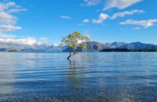 Wanaka Resort | 46 m² Resort ∙ 2 bedrooms ∙ 7 guests