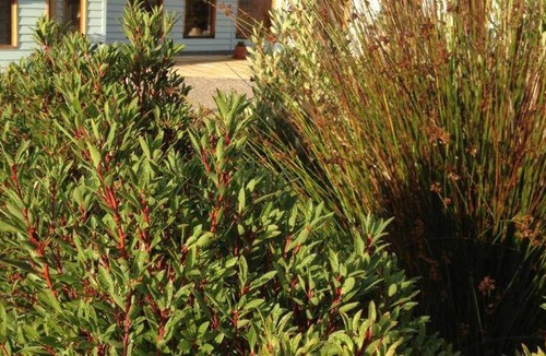Jackeys Marsh Bed & Breakfast | 48 m² Bed and breakfast ∙ 3 bedrooms ∙ 9 guests