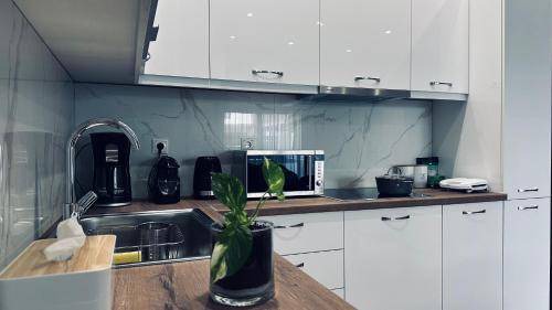 Markopoulon Apartment | 50 m² Apartment ∙ 1 bedroom ∙ 4 guests