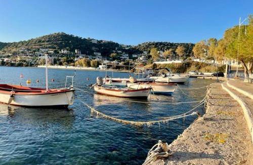 Salamis House | 59 m² House ∙ 2 bedrooms ∙ 3 guests