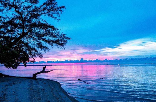 Bintan Resort | 61 m² Resort ∙ 2 guests