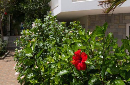 Malia Apartment | 70 m² Serviced apartment ∙ 2 bedrooms ∙ 8 guests