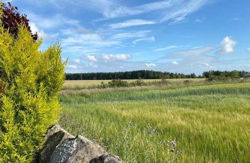 Cupar House | 900 m² House ∙ 1 bedroom ∙ 3 guests