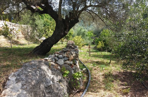 Papadhianika House | A privileged home for people who love nature.