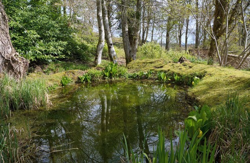 Dingwall House | A spacious family retreat in the Highlands. Pet Friendly