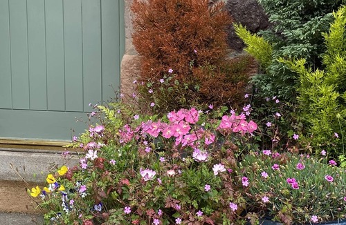 East Linton Cottage | A Traditional East Lothian Cottage