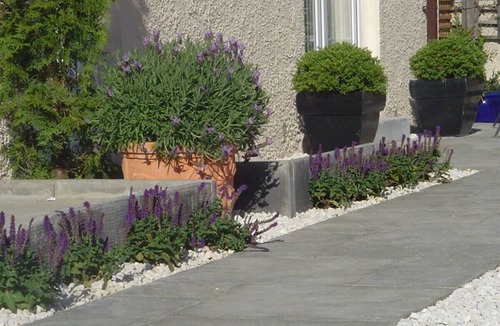 Loanhead Apartment | Aaron Glen Apartments - Maraig
