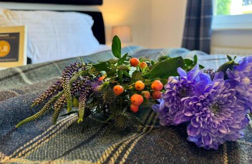 Turnberry Apartment | Abbotsford's Rest
