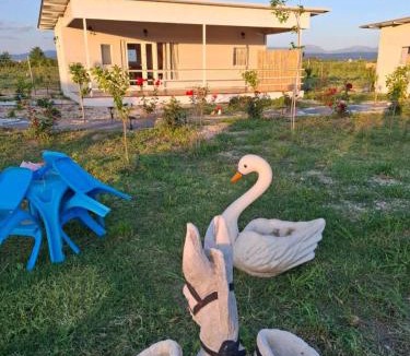 Arta House | Agroktima
