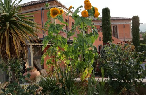 Rende House | Albergo Arinde