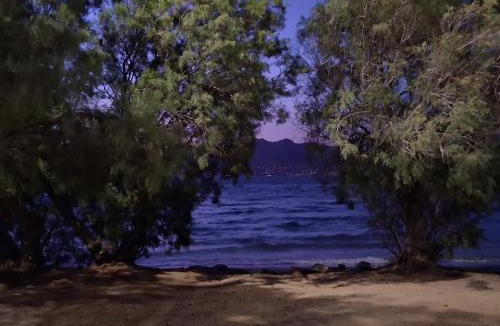 Salamis House | AMMOS