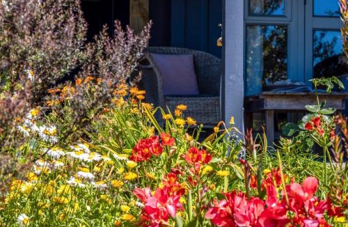Waiheke Island House | An Escape for the Senses