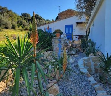 Acquedolci House | Appartamento Rosmarino