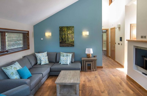 Arrochar Cabin | Ardgartan Argyll Silver Birch, Arrochar