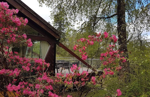 Spean Bridge Cottage | Arkaig Lodge - UK7254