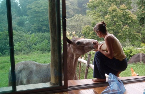 Tajo Alto House | Artistic House ; Peaceful place in the Mountains. Close to Miramar, Puntarenas