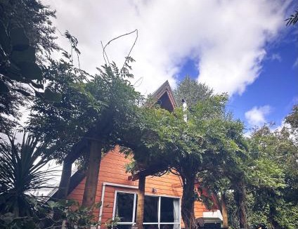 Twizel House | Aurora A-Frame Twizel