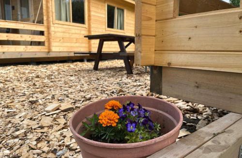 Budardalur Other | Búdardalur glamping