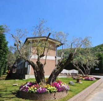 Catanzaro Bed & Breakfast | B&B MULA Germaneto