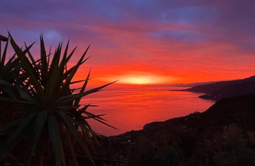 Cefalu Bed & Breakfast | B&B Roomantic & Piscina Idromassaggio