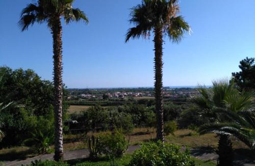 Scalea Bed & Breakfast | B&B Villa Le Palme Scalea