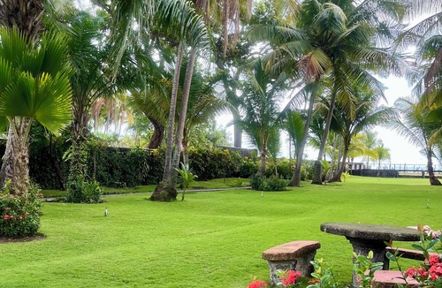 Puntarenas House | Beach Front 1940 retro 3-bedrm house AC/Wifi: Privacy & Comfort in Puntarenas.