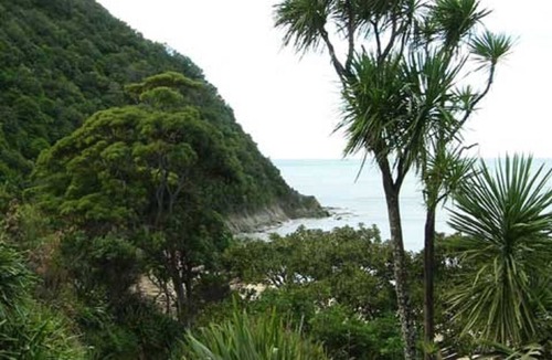 Tokomaru Bay Cottage | Beachfront property,family friendly accommodation with great views