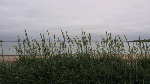 Kirkwall Bed & Breakfast | Bed and breakfast ∙ 2 guests