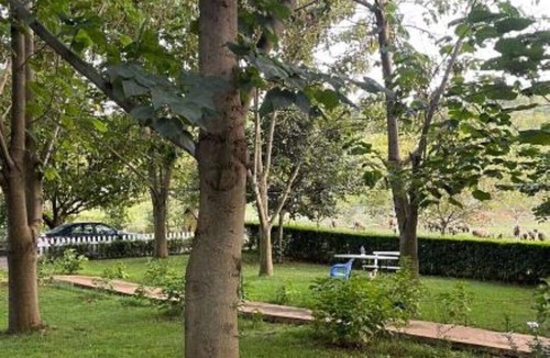Librazhd Bed & Breakfast | Biona Farm : Basic Triple Room
