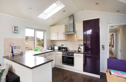 Contin Cabin | Bluebell Lodge - Sleeps 4,Hot Tub, Loch & Woodland