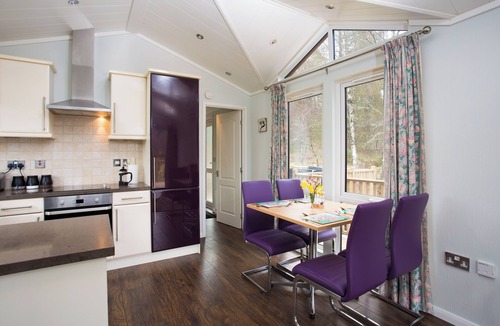 Contin Cabin | Bluebell Lodge - Sleeps 4,Hot Tub, Loch & Woodland