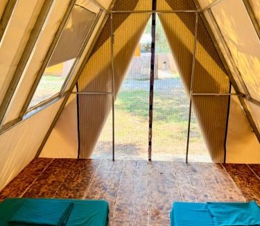 Borsh Other | Borsh Olive Camping