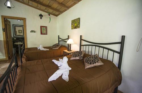 Sarchi Norte Hotel | Bosque de Paz Reserva Biologica