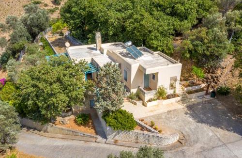 Fodele Villa | bougainvilla