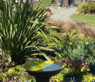 Te Anau Apartment | Boutique Tiny House - Te Anau Country Accommodation