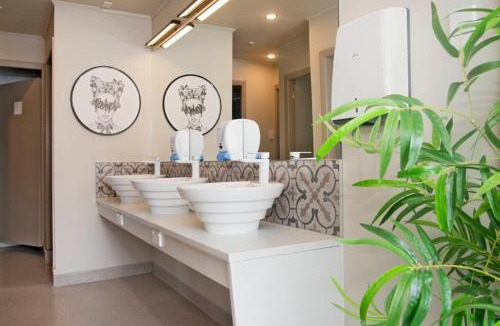 Nelson City Centre Hostel | Bridge Backpackers