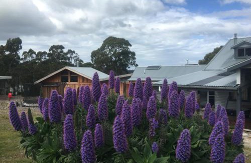 South Bruny House | Bruny Island Lodge