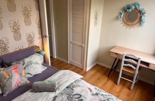 Remuera House | Bunny BnB, Self Check In, Lower Level Guest Unit