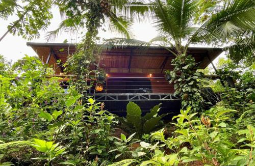 Pital Cabin | Cabaña Río San Carlos Ecolodge
