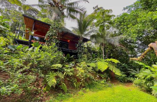 Pital Cabin | Cabaña Río San Carlos Ecolodge