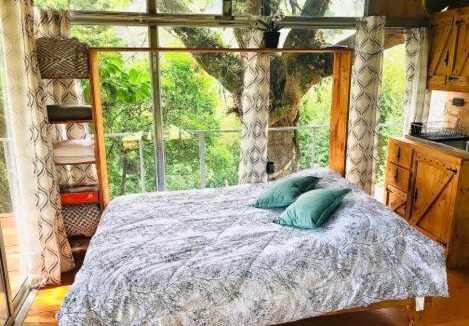 Concepcion House | Cabaña treehouse Mountain View