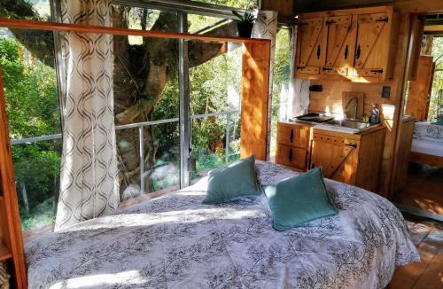 Concepcion House | Cabaña treehouse Mountain View