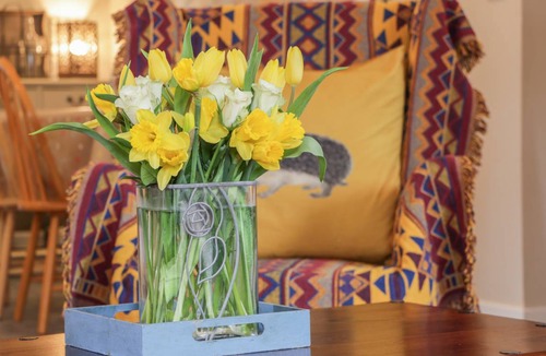 Duns Cottage | Cabin ∙ 1 bedroom ∙ 2 guests
