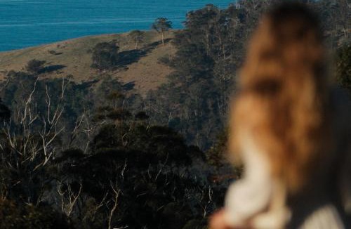 St Marys House | Candlebark Ridge
