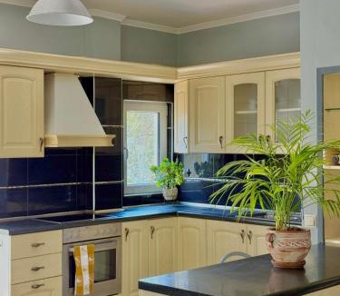 Anthousa Apartment | Captain Michalis house