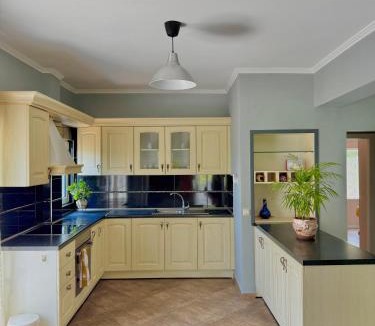 Anthousa Apartment | Captain Michalis house