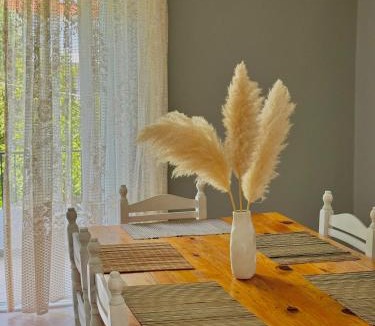 Anthousa Apartment | Captain Michalis house