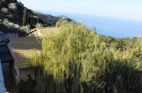 Drimonas Villa | Carmel Villas